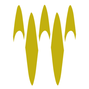 ace fibertec Logo Icon